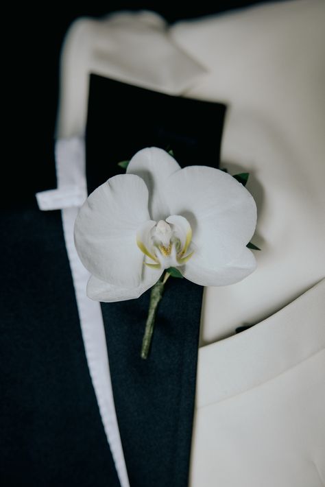 Rose And Orchid Boutonniere, Orchid Boutineer, Rose And Orchid Bouquet, Orchid Buttonhole, Modern Boutonniere, Orchid Boutonniere, Groomsmen Boutonniere, Orchid Bouquet, Board Wedding