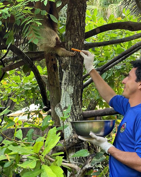 Costa Rica Adventures, Chicago Girls, Serene Nature, Zip Lining, Animal Sanctuary, Adventure Park, Travel Goals, Making Memories, Breathtaking Views