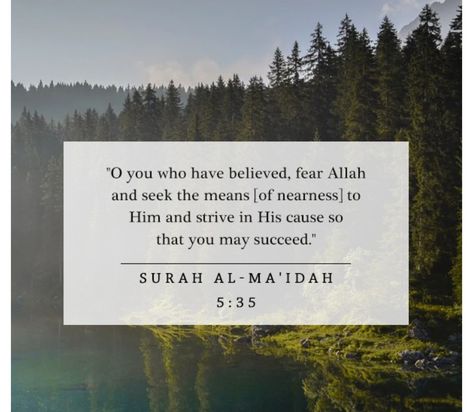 Surah Al-Maidah Surah Maidah, Quran Journaling, Quranic Verses, Quran Verses, Quran Quotes, Hindi Quotes, 1 2 3, Quran, Verses