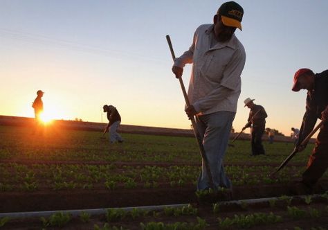 Gerawan Farm Workers Shed Union Dietary Guidelines, Farm Workers, American Diet, Labor Union, Labor, Healthy Living, Sustainability, Shed, Diet