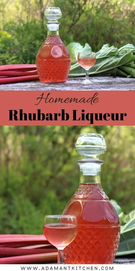 Rhubarb Wine Recipe Easy, Rhubarb Drink Recipes, Rhubarb Wine Recipe, Rhubarb Drinks, Rhubarb Syrup Recipe, Rhubarb Liqueur Recipes, Rhubarb Liqueur, Rhubarb Tea, Rhubarb Wine