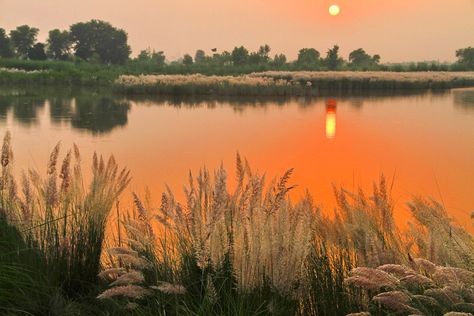 🇵🇰 Sunset on the Ravi River (Punjab, Pakistan) by javedchowla 🌅 Punjab Culture, Kerala Photography, Punjabi Virsa, Pakistani People, Punjabi Culture, Village Photos, Punjab Pakistan, Village Photography, Indian Village