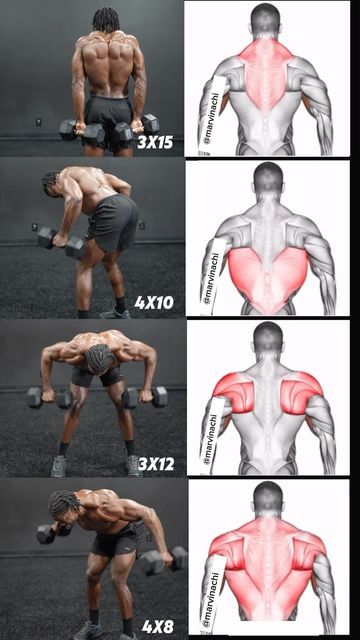 Back Workout Bodybuilding, Dumbbell Only Workout, Bent Over Row, Gym Workout Apps, Gym Workout Guide, Workout Program Gym, Bodybuilding Workouts Routines, Balanced Eating, Gym Workout Planner