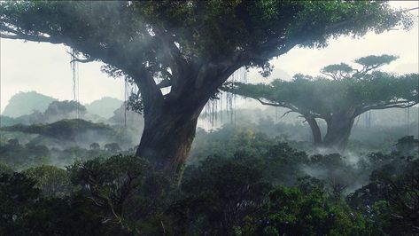 #Avatar #nature #Pandora #wood #1080P #wallpaper #hdwallpaper #desktop Avatar Tree, Avatar Film, Water Tribe, Pandora Avatar, Avatar Movie, Avatar World, Bhutan, Legend Of Korra, Avatar The Last Airbender