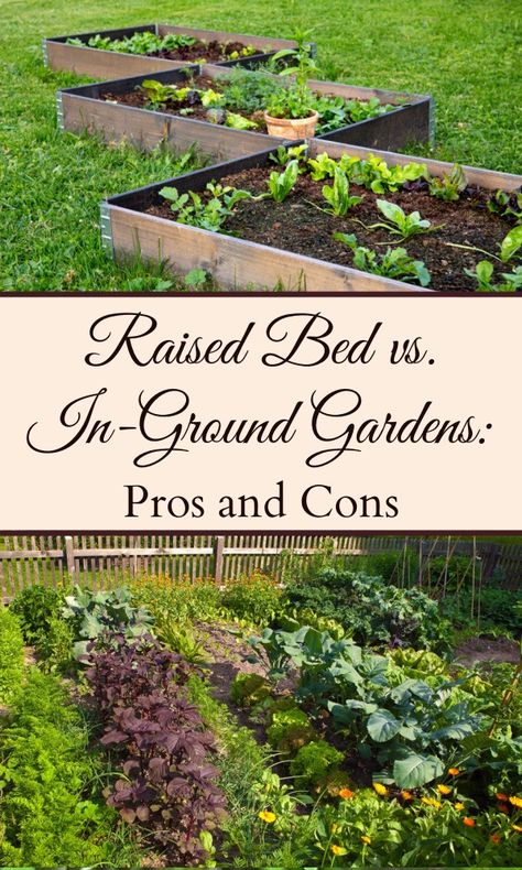 Raised bed gardens and in-ground gardens each have their own pros and cons, and depending on your situation and your priorities for your garden one might be a better choice than the other for you. In Ground Raised Garden Beds, Raised Garden Beds Vs In Ground, In Ground Planters, Garden Without Raised Beds, Gardening In The Ground, Ground Level Garden Bed, Mounded Garden Beds, In Ground Garden Bed, In Ground Garden Layout