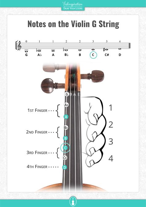 All Violin Notes for Beginners [with Easy PDF Charts] - Violinspiration Violin Beginner Learning, Violin Basics, Violin Beginner Music, Violin Chords, Violin Fingering Chart, Violin Notes, Violin Tutorial, Easy Violin Sheet Music, Free Violin Sheet Music