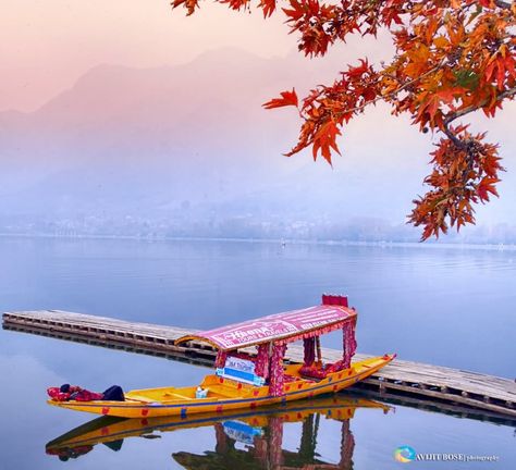 India Honeymoon, Kashmir Trip, Kashmir Tour, Dal Lake, Honeymoon Tour Packages, Jammu Kashmir, Valley Of Flowers, Travel Art Journal, Sky Art Painting