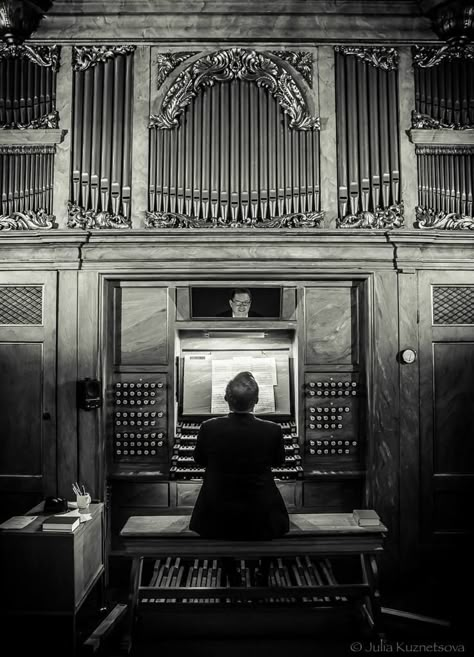 Organ Musical Instrument, Organ Aesthetic Dark, Organ Instrument Aesthetic, Pipe Organ Aesthetic, Gothic Organ, Organ Aesthetic, Paul Cauthen, Organ Instrument, Gothic Music