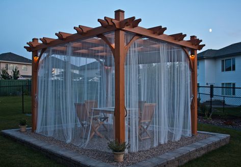 Pergola Decor, Pergola Curtains, Pergola Swing, Retractable Canopy, Diy Pallet Furniture Outdoor, Budget Patio, Pallet Outdoor, Covered Pergola, Pergola Kits