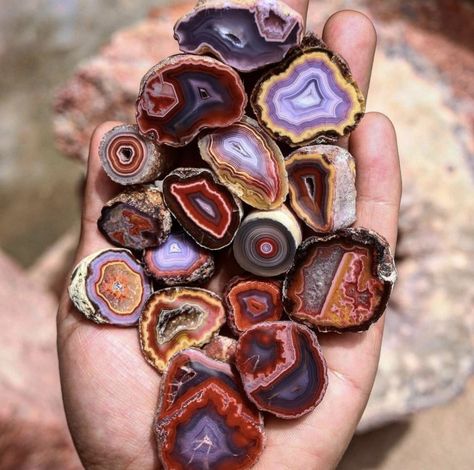 Coyamito agates, Mexico. Photographer unknown. Coyamito Agate, Minerals Crystals Stones, Stone World, Geology Rocks, Pretty Rocks, Crystals Stones, Cool Rocks, Mineral Stone, Minerals And Gemstones