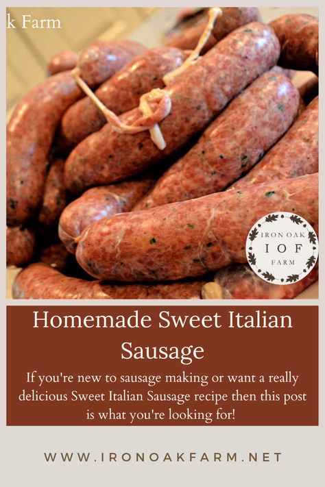 If you're new to sausage making or want a really delicious Sweet Italian Sausage Recipe then this post is what you're looking for! Make Your Own Sausage Recipes, Venison Sweet Italian Sausage Recipes, Homemade Sweet Italian Sausage, Italian Sausage Seasoning Recipes, Sweet Italian Sausage Recipes Dinners, Sweet Sausage Recipes, Beef Snack Stick Recipe, Police Codes, Brat Recipe