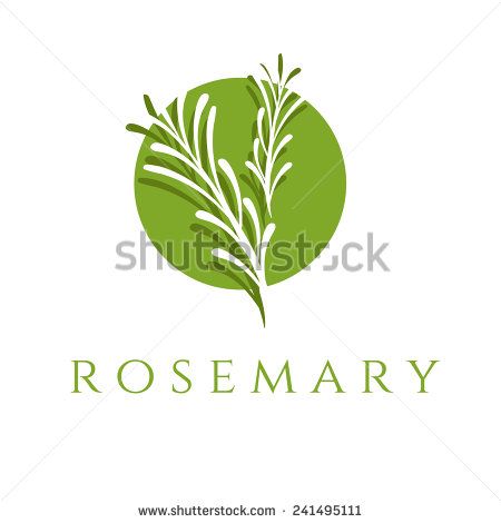 Illustration concept of emblem with rosemary. Vector - stock vector Rosemary Logo, Rosemary Flower, Flowers Illustration, Flower Logo, Logo Images, Flower Illustration, Vector Stock, 3d Objects, Royalty Free Photos