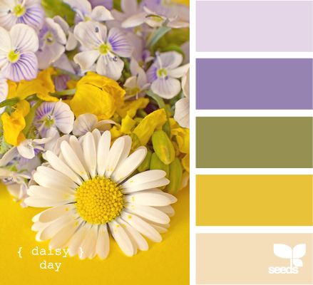 Palette:  Daisy Day  (Design Seeds) Barnhouse Kitchen, Colors Pallets, Kitchen Color Yellow, Bedroom Yellow, Colour Pallets, Bedroom Colour Palette, Nature Colors, Color Palette Yellow, Colour Trends