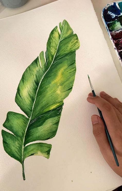 Tropical Leaves Acrylic Painting, Painting Tropical Leaves, Montesera Leaf Painting, Tropical Plants Watercolor Painting, Tropical Leaves Oil Painting, Big Leaf Plants, Big Banana, Banana Leaf Art, Tropical Elements