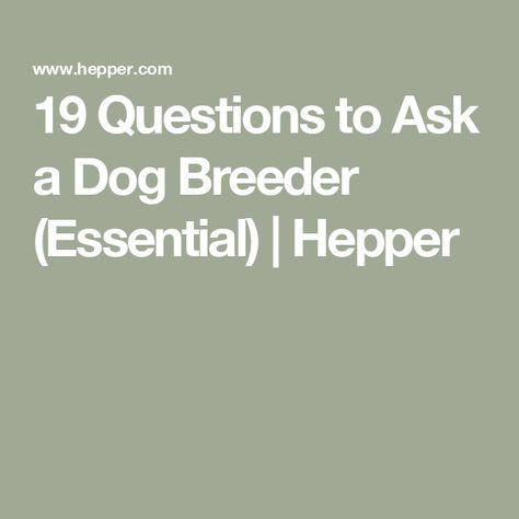 19 Questions to Ask a Dog Breeder (Essential) | Hepper Breeding Dogs Tips, Puppy Breeder Forms, How To Become A Dog Breeder, Puppy Take Home Kit From Breeder, Tips For New Dog Owners, Cat Nutrition, Dog Nutrition, Pet Blog, Dog List