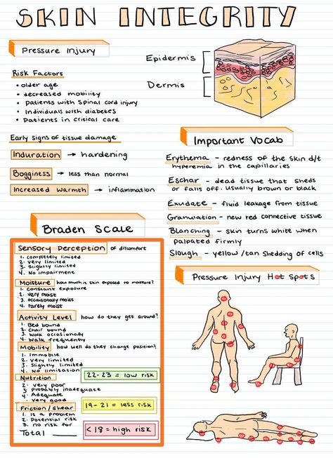 Skin Integrity Nursing, Realistic Art Drawings, Memes Nursing, Nursing Pictures, Nursing School Essential, Nursing Study Guide, Funny Nursing, Nursing School Motivation, Nurse Study Notes