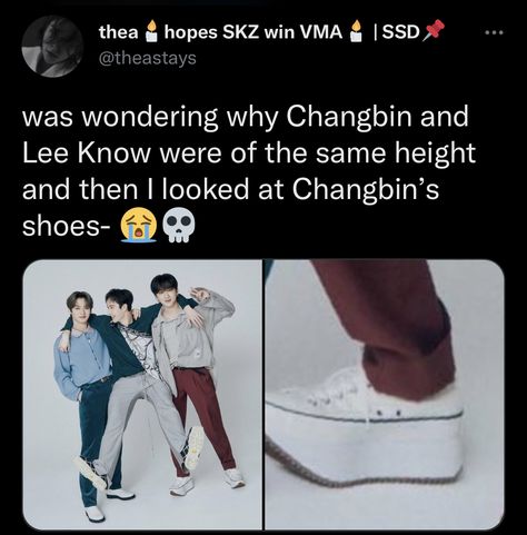 Skz Shoes, Stray Kids Shoes, Kpop Shoes, Inspirational Quotes For Kids, Skz Memes, Baby Squirrel, Kids Board, Savage Kids, Losing A Child