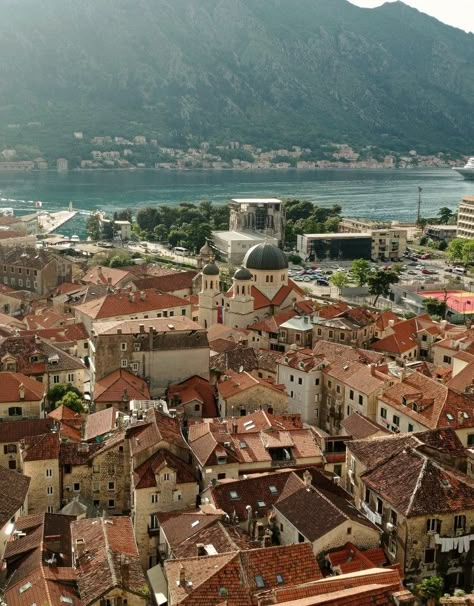 Kotor Montenegro Old Town, Kotor Old Town, Withdrawal Slip, Montenegro Aesthetic, Montenegro Summer, Tivat Montenegro, Montenegro Beach, Montenegro Kotor, Montenegro Travel