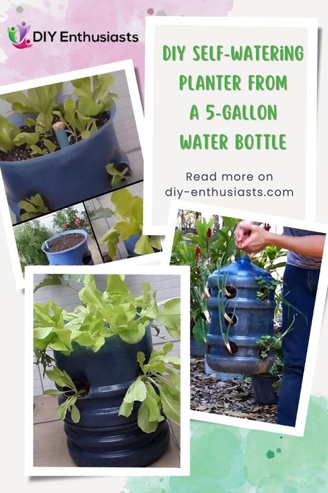 If you’re eager to grow plants but limited on space or resources, this DIY project is perfect for you. Not only does it offer a sustainable solution for gardening in small areas, but it also repurposes plastic waste into something functional and green. Read how to create your very own self-watering planter using a humble 5-gallon water bottle. Water Jug Repurpose, 5 Gallon Water Jug Ideas Diy Garden, 5 Gallon Water Bottle Crafts, Repurpose 5 Gallon Water Jugs, 5 Gallon Water Jug Ideas Diy, Diy Self Watering Planter, Mansion Garden, Repurpose Diy, 5 Gallon Water Bottle