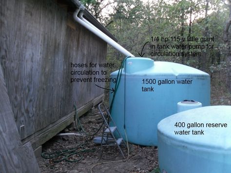 We live out in the rural area, too far from the county water lines, and the water tables are polluted because of old oil wells. We built our house in ... Rainwater Cistern, Watering Trees, 5 Gallon Water Bottle, Rain Harvesting, Natural Architecture, Water Tables, Rain Collection, Water Tanks, Lawn Sprinklers