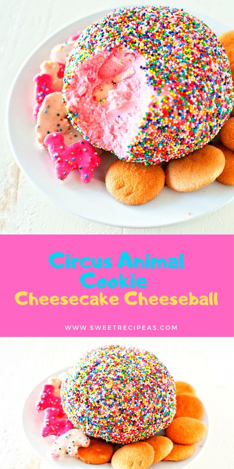 No Bake Circus Animal Cheesecake, Circus Animal Cookie Dip, Circus Appetizers, Circus Cookie Cheesecake, Frosted Animal Cookie Dip, Circus Animal Cookie Cheesecake, Circus Animal Cookies Recipes, Animal Cookie Dip, Animal Cookie Dessert