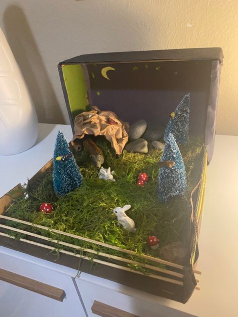 Diorama Animal Habitat, Cheetah Habitat Diorama, Fox Diorama Habitat, Wolf Diorama, Temperate Deciduous Forest Diorama, Habitat Diorama, Fox Habitat, Habitat Project, Maned Wolf