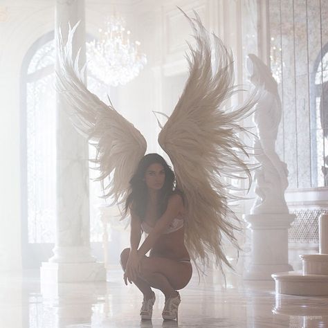 Wings, Tulle, Sparkle! Victoria’s Secret Holiday 2014 Behind the Scenes Pdp Discord, Victoria Secret Wings, 2014 Aesthetic, Victoria Secret Angel Wings, Victoria's Secret Aesthetic, Victoria Secret Model, Victoria Secret Models, Fav Color, Ange Demon