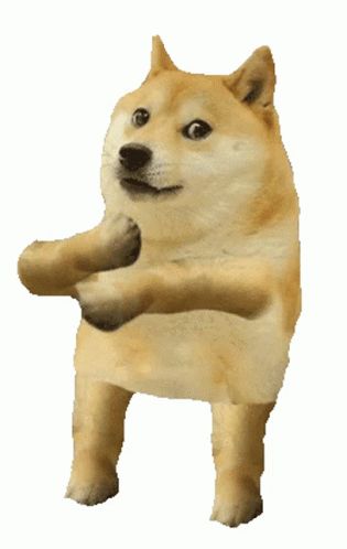 Cool Doge Dog Dance Sticker - Cool Doge Cool Dog Dog Dance - Discover & Share GIFs Doge Wallpapers, Doge Gif, Cheems Dog, Cheems Doge, Dancing Dogs, Dogs Stickers, Dog Dancing, Dog Dance, Doge Dog