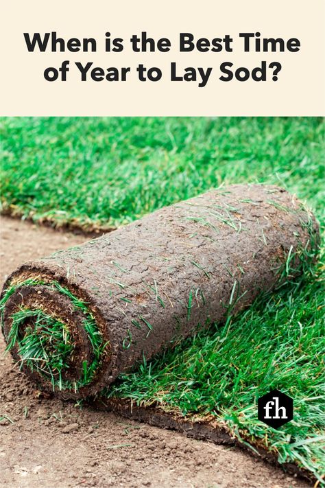 When is the Best Time of Year to Lay Sod? How To Lay Sod Diy Lawn, Laying Sod Diy Tips, How To Level Yard, Leveling Yard, How To Lay Sod, Yard Before And After, Overseeding Lawn, Sod Grass, Lawn Weeds