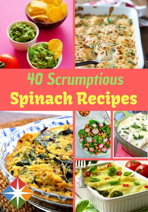 40 Mouthwatering Recipes You Can Make Using a Bag of Spinach Spark Recipes, Cooking Charts, Gut Recipes, Healthy Gut Recipes, Plane Food, Recipes Vegetables, Healthy Budget, Spark People, Dinner On A Budget