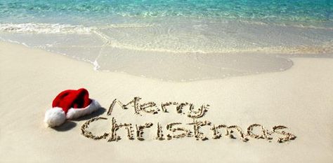 Beach Christmas!! Beach Holiday Card, Merry Christmas Wishes Text, Christmas Beach, Beachy Christmas, Merry Christmas Images, Merry Christmas Wishes, Merry Christmas Greetings, Beach Christmas, Coastal Christmas