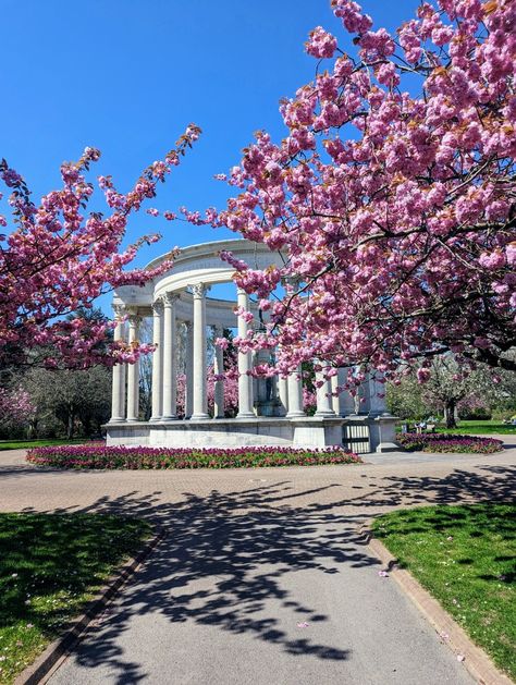 Spring, cherry blossom, light Academia Cardiff University Aesthetic, Cardiff Wales Aesthetic, Cardiff Aesthetic, Cardiff Uni, Wales Country, Uni Vibes, European Bucket List, 2024 Manifestation, Cardiff University