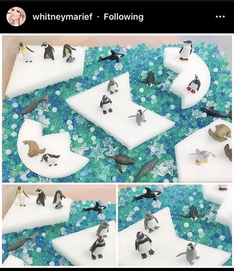 Arctic Animal Activities, Winter Animals Preschool, Arctic Animals Activities, Sensory Bin For Toddlers, Arctic Animals Preschool, Arctic Animals Crafts, Winter Activities Preschool, Eyfs Activities, Winter Classroom