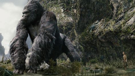 There's a GODZILLA Easter Egg in the Latest KONG: SKULL ISLAND Promo — GeekTyrant King Kong 2005, King Kong Skull Island, King Kong Movie, Kong Skull Island, King Kong Art, Kong Godzilla, Silverback Gorilla, Island Wallpaper, Skull Island