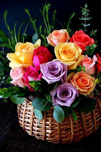 Colored Roses, Rose Belle, Coming Up Roses, Colorful Roses, Beautiful Rose Flowers, Love Rose, Tea Roses, Beautiful Blooms, Rose Bouquet