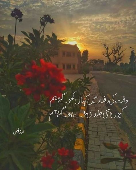 A Daily Reminder, Urdu Quotes Images, Al Qur'an Aesthetic, Good Evening Greetings, Poetry Photos, Evening Greetings, Poetry In Urdu, Image Poetry, Blackout Poetry