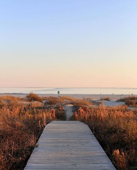 Coastal Living on Instagram: “🌅: Sullivan's Island, South Carolina 📷: @sarahbeth.rawls #CLPicks” Sullivan Island South Carolina, Ranch Girl, Sullivans Island Sc, Nautical Aesthetic, Summer Board, Emily Henry, Sullivans Island, Southern Girls, Deep South