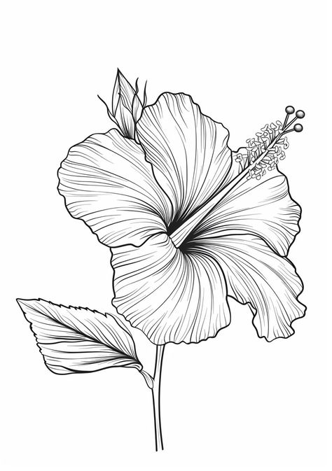 Hibiscus Flower Coloring Page Hibiscus Flower Illustration, Hibiscus Sketch, Hibiscus Illustration, Applic Work, Hibiscus Drawing, Hibiscus Flower Tattoos, Inspirational Digital Art, Flower Tattoo Drawings, Line Art Illustration