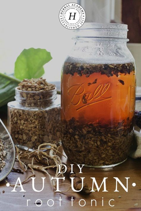 Herbal Academy, Herbal Tonic, Herbal Tinctures, Herbal Recipes, Dandelion Root, Diy Remedies, Homemade Remedies, Natural Diy, Natural Health Remedies