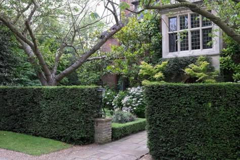 Judy Green suburban London garden Daphne Walker Front Yard Hedges, Garden Privacy, Casa Country, London Garden, Front Landscaping, English Cottage Garden, Front Lawn, Garden Structures, Architectural Features