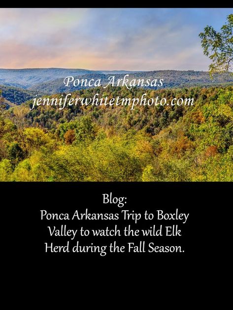 A short blog about our fall season trip to Ponca Arkansas area to watch the wild Elk heard in Boxley Valley. #blog #ozarks #arkansas #photograhy Ozarks Arkansas, Ponca Arkansas, Arkansas Vacations, Photography Blogs, Inspirational Blogs, Social Media Community, Lifestyle Blogs, River Photography, Moments Photography