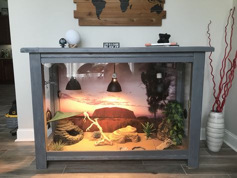 Built In Snake Enclosure, Fancy Bearded Dragon Terrarium, Bearded Dragon Apartment, Bearded Dragon Set Up Ideas, Custom Snake Enclosures, Homemade Bearded Dragon Enclosure, Custom Bearded Dragon Enclosure, Diy Bearded Dragon Enclosure Decor, Diy Reptile Cage