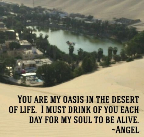 You are my oasis in the desert of life.  I must drink of you each day for my soul to be alive.  #oasis #huacachina #Peruvianlovestory #desert #Peru #love #lovequote #quotes Oasis Quotes, Lovers Quotes, Desert Oasis, Jennifer Winget, Oasis, Love Story, Love Quotes, Poetry, Words Of Wisdom