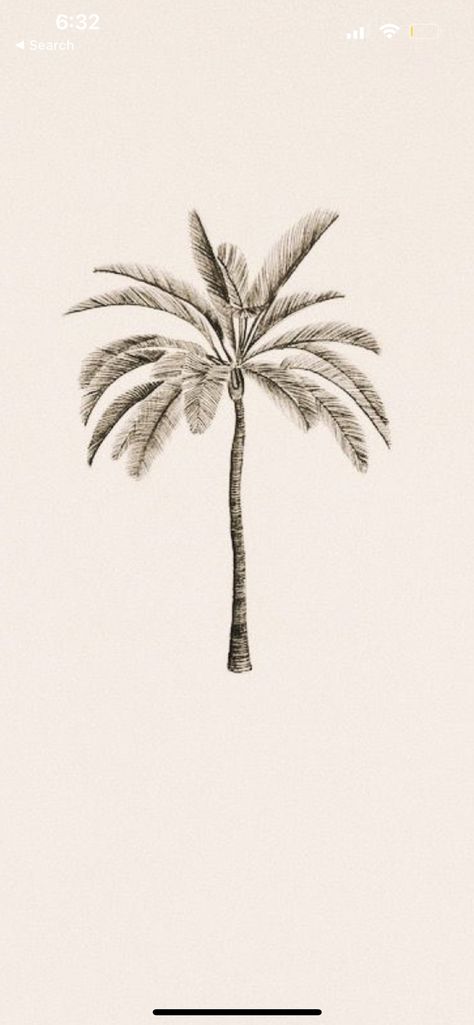 Detailed Palm Tree Tattoo, Palmier Aesthetic, Palm Leaf Tattoo, Palm Tree Tattoo Ankle, Palm Tree Photo, Tree Tattoo Meaning, Palm Tree Flowers, Branch Drawing, Palm Logo