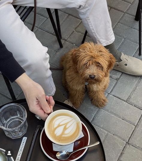 Dog Friendly Cafe Ideas, Dog Cafe Aesthetic, Dog And Coffee, City Cafe, Pet Cafe, Dog Marketing, Dog Mommy, Dog Cafe, Beach Cafe