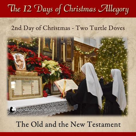 2nd Day of Christmas: Two Turtle Doves – The Old and the New Testament #DaughtersofMaryPress #DaughtersofMary #ReligiousSisters #Nativity #12DaysofChristmas #SpiritofChristmas #CatholicTradition 2nd Day Of Christmas, Two Turtle Doves, Turtle Doves, Happy Birthday Jesus, Turtle Dove, The New Testament, 12 Days Of Christmas, New Testament, Christmas Spirit