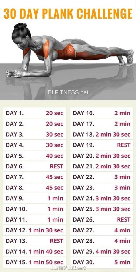 Motivasi Diet, Bolesti Chrbta, Gym Antrenmanları, 30 Day Plank Challenge, 30 Day Plank, Plank Challenge, Plank Workout, Trening Fitness, Fitness Routines