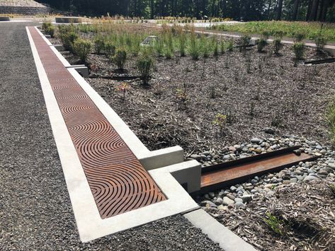 Managing Stormwater Beautifully - Iron Age Designs Storm Water Management Landscape Architecture, Bio Swale, Storm Water Management Design, Stormwater Management Design, Water Catchment, Vertical Garden Plants, Water Architecture, Stormwater Management, Luxury Landscaping