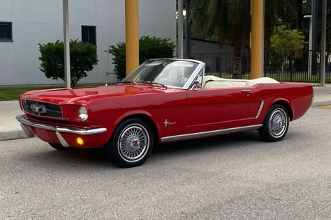 1965 Ford Mustang Convertible (Poppy Red, T-code, 200ci inline-six, 3-speed auto) 1966 Ford Mustang Convertible Red, 1965 Ford Mustang Convertible Red, Cherry Red Mustang Convertible, Red Convertable Car, Red Convertible Mustang, Toyota Convertible, 65 Mustang Convertible, Wire Covers, 1965 Mustang Convertible