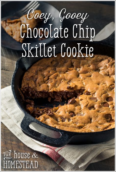 Chocolate Chip Skillet Cookie Easy, Cast Iron Chocolate Chip Cookie Recipe, Cast Iron Skillet Chocolate Chip Cookie, Chocolate Chip Cookie Skillet Recipe, Cookie In Cast Iron Skillet, Skillet Chocolate Chip Cookie Cast Iron, Cast Iron Chocolate Chip Cookie, Pazookie In Cast Iron, Cast Iron Cookie Recipe